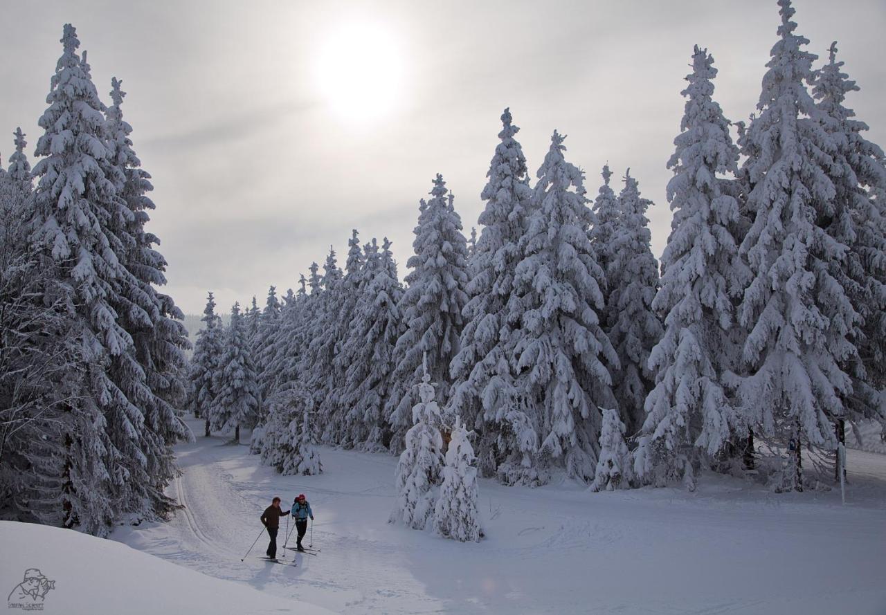 Gipfelstuermer Winterberg Esterno foto